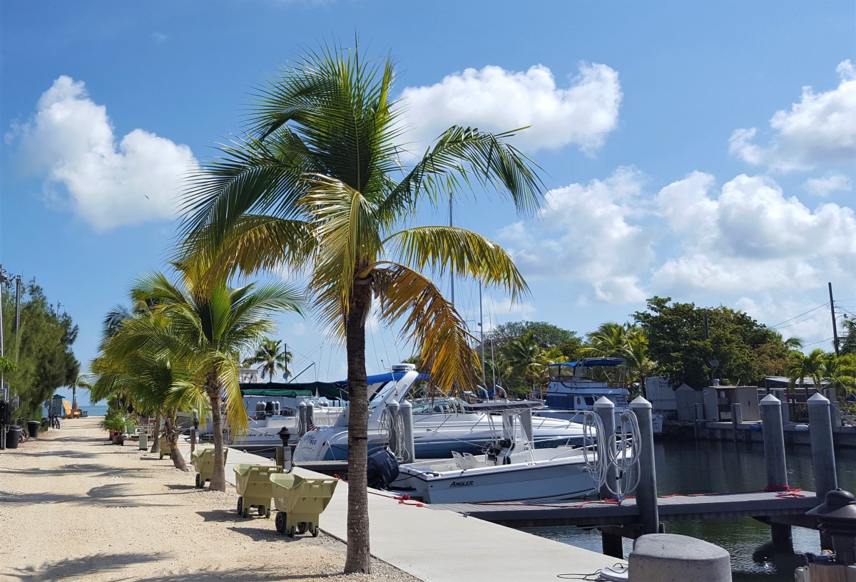 Florida Keys Blackfin Resort & Marina