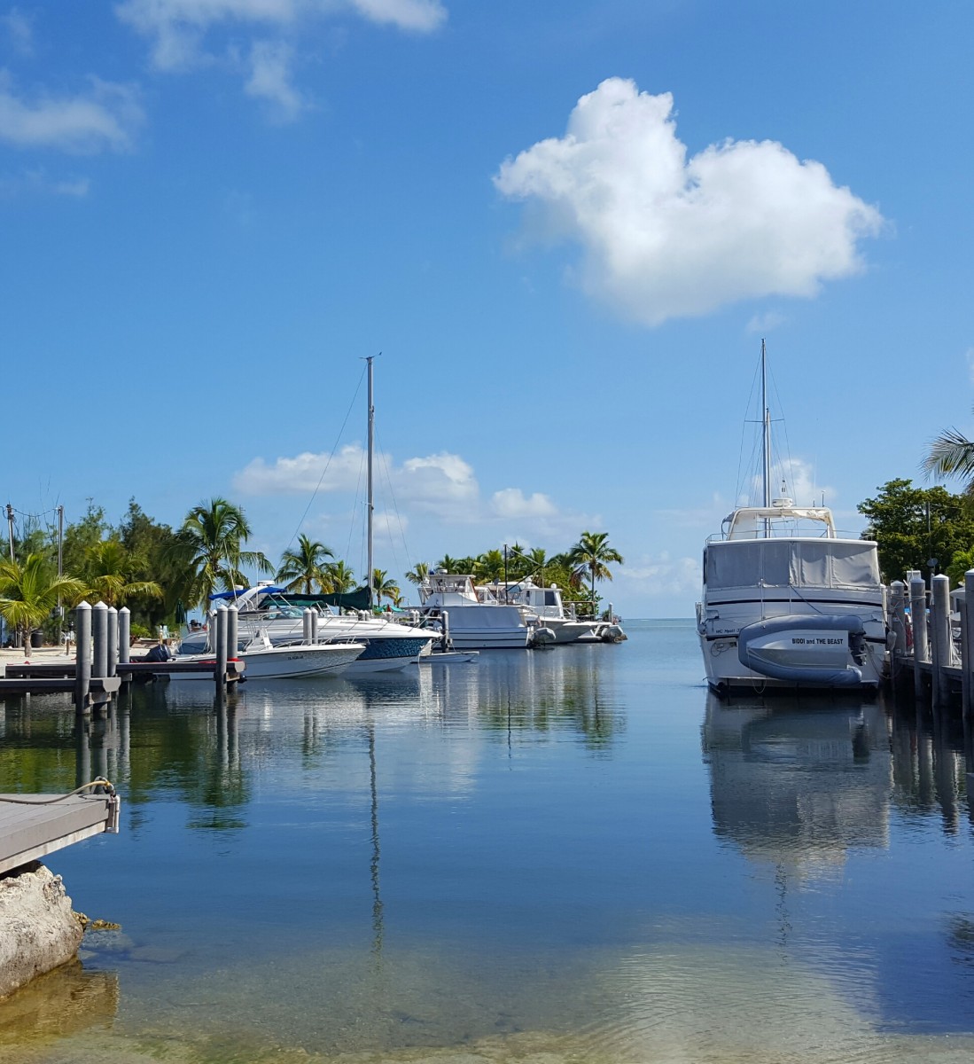 Florida Keys Balckfin resort & marina