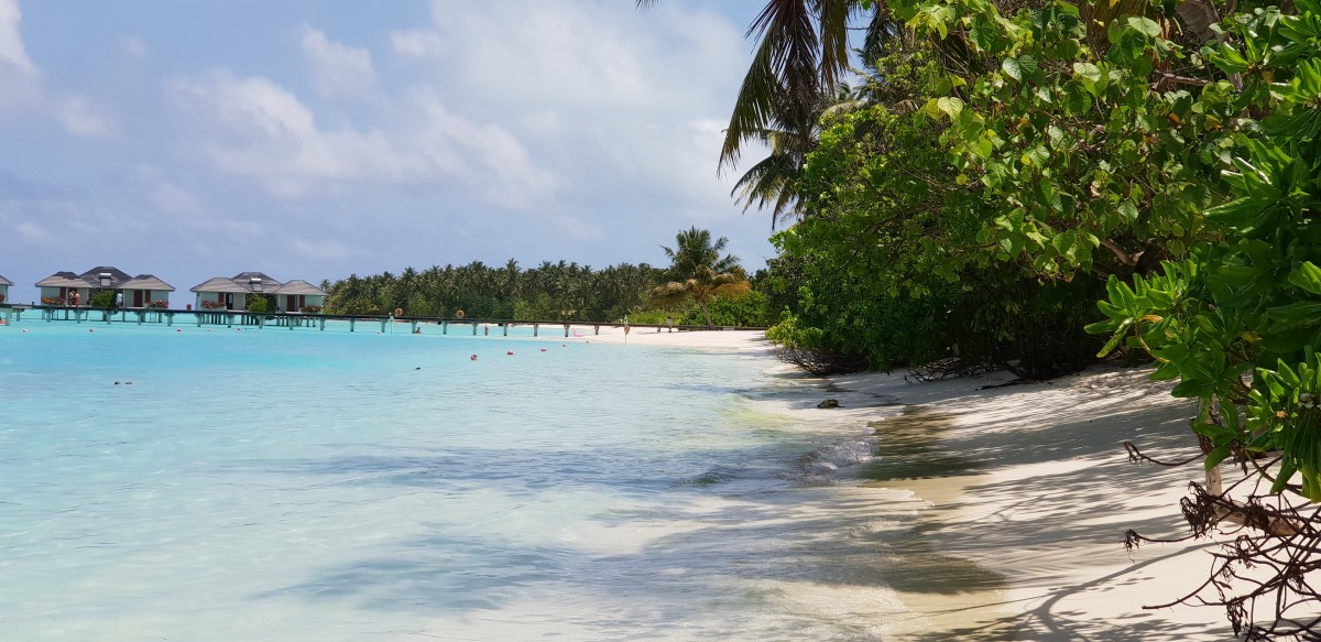 Langs stranden på Sun Island Resort, Maldivene